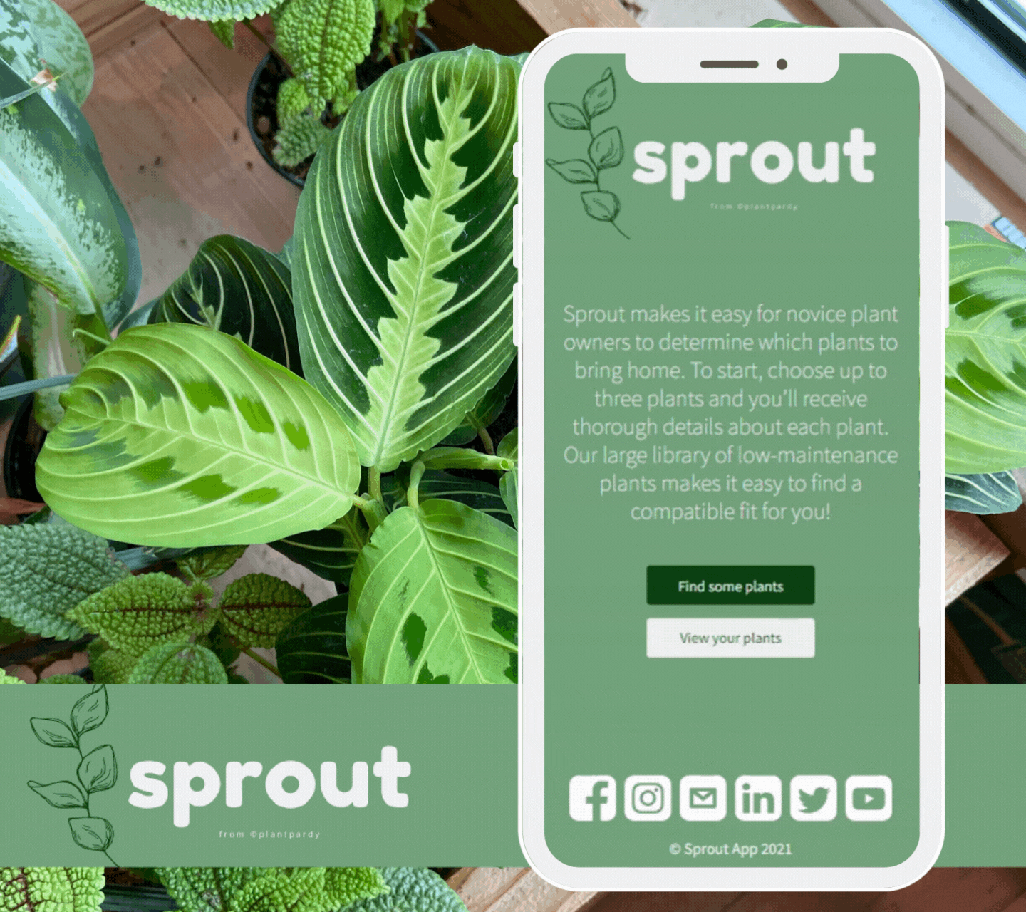 A mobile phone displays a user selecting houseplants from a list of beginner-friendly options, such as the Peace Lily and String of Hearts. The user navigates to a page that shows important caretaking information for their selected plants.